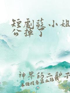 短剧苏小姐你老公掉了