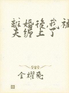 离婚后,我被前夫缠上了