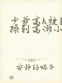 少爷高h被狂c躁到高潮小说