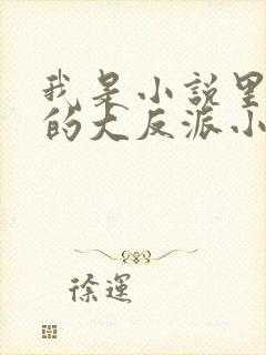 我是小说里共同的大反派小说