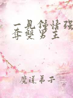 一见钟情强取豪夺双男主