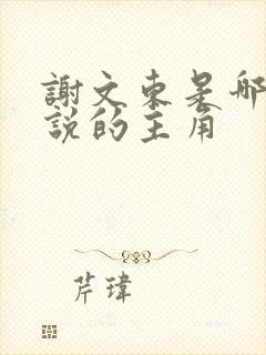 谢文东是哪部小说的主角