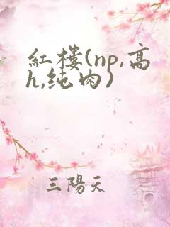 红楼(np,高h,纯肉)