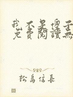 我不是傻子叶凡免费阅读无弹窗