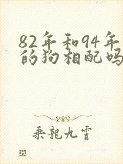 82年和94年的狗相配吗