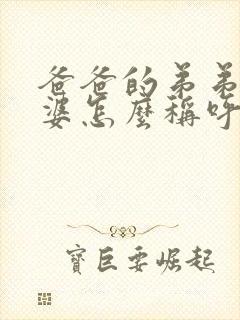 爸爸的弟弟的老婆怎么称呼