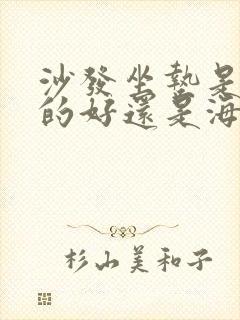 沙发坐垫是乳胶的好还是海绵的好