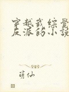 穿越武综觉醒大反派的小说