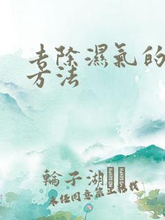 去除湿气的最快方法