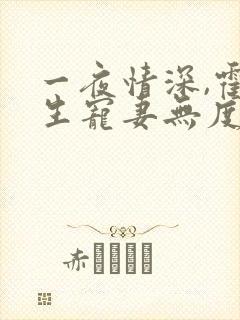 一夜情深,霍先生宠妻无度全书