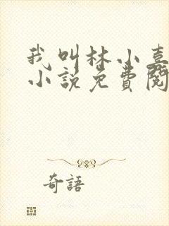 我叫林小喜全文小说免费阅读