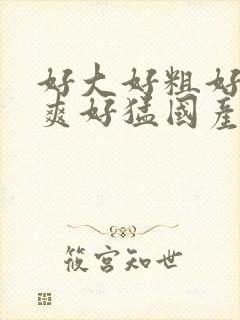 好大好粗好硬好爽好猛国产