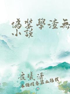 伪装学渣无删减小说