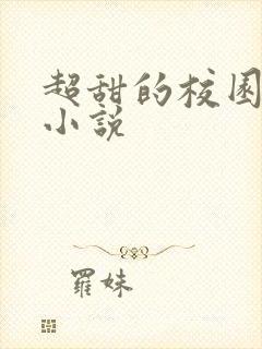 超甜的校园恋爱小说