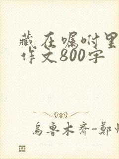 藏在嘱咐里的爱作文800字