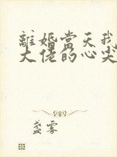 离婚当天我成了大佬的心尖宠