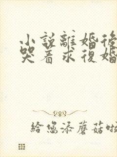 小说离婚后前夫哭着求复婚txt