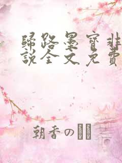 归路墨宝非宝小说全文免费阅读