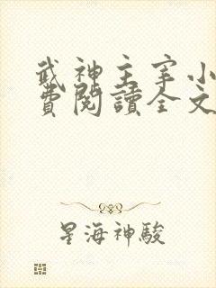 武神主宰小说免费阅读全文无弹窗
