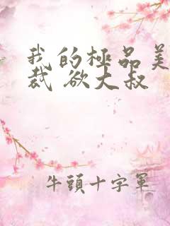 我的极品美女总裁 欲大叔