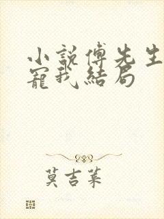 小说傅先生偏要宠我结局