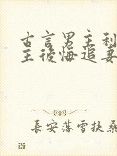 古言男主利用女主后悔追妻火葬场