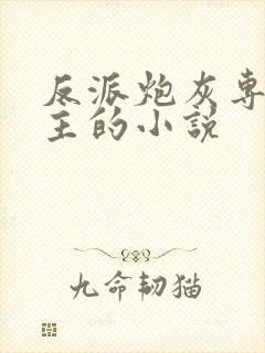 反派炮灰专偷女主的小说