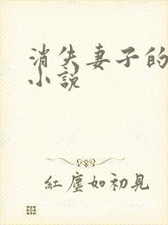 消失妻子的秘密小说