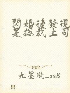 闪婚后发现老公是总裁上司花哓七