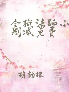 全职法师小说无删减免费