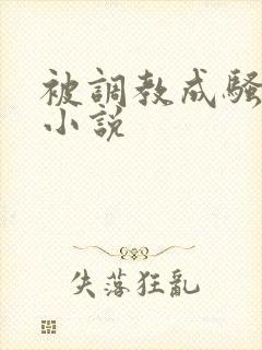 被调教成骚货的小说