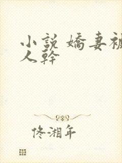 小说 娇妻被黑人干