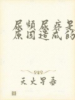 尿频尿疼是什么原因造成的