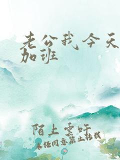 老公我今天晚上加班