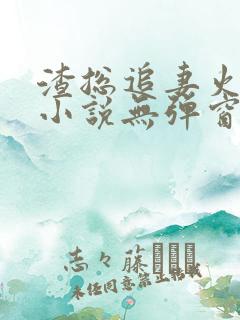 渣总追妻火葬场小说无弹窗