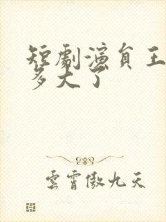 短剧演员王艺阳多大了