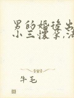 男的婚后出轨,小三怀孕,法律怎么处理