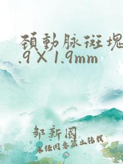 颈动脉斑块10.9×1.9mm