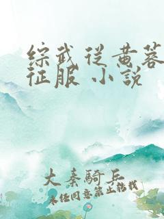 综武从黄蓉开始征服 小说