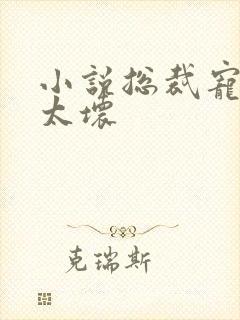 小说总裁宠妻别太坏