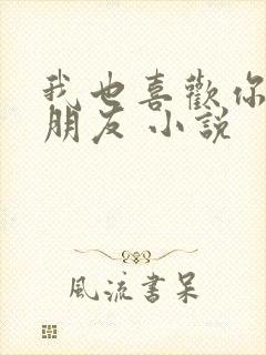 我也喜欢你的女朋友 小说