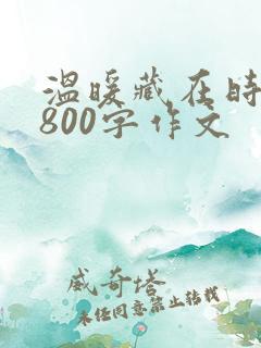 温暖藏在时光里800字作文