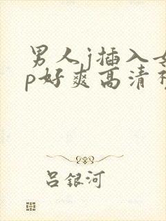 男人j插入女人p好爽高清视频