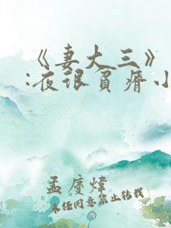 《妻大三》作者:夜很贫瘠小说