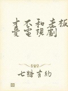 才不和老板谈恋爱电视剧