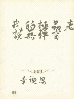 我的极品老婆小说无弹窗