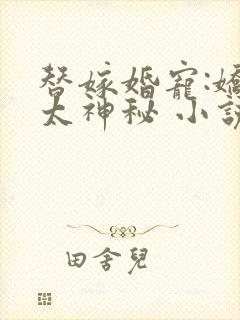 替嫁婚宠:娇妻太神秘 小说