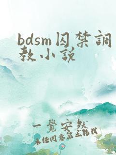 bdsm囚禁调教小说