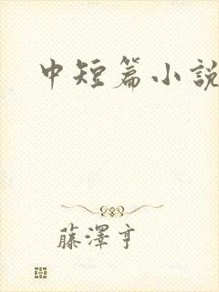中短篇小说集