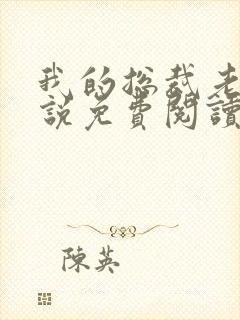 我的总裁老婆小说免费阅读